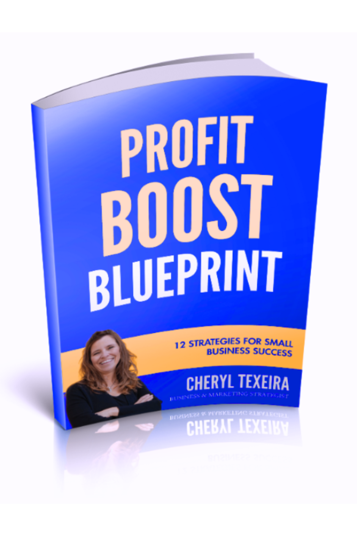 Profit Boost Blueprint Blue book cover